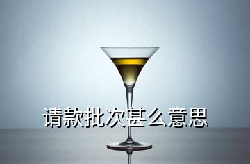 請(qǐng)款批次甚么意思