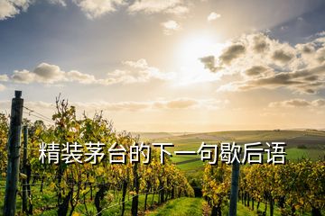 精裝茅臺(tái)的下一句歇后語