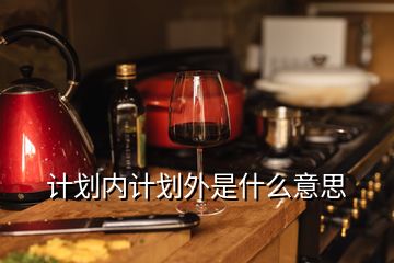 計劃內(nèi)計劃外是什么意思