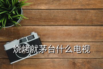 燒烤就茅臺(tái)什么電視