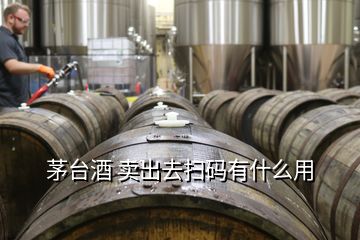 茅臺(tái)酒 賣(mài)出去掃碼有什么用