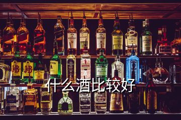 什么酒比較好