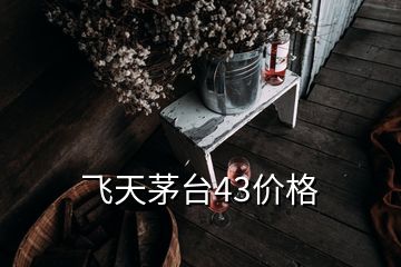 飛天茅臺43價(jià)格