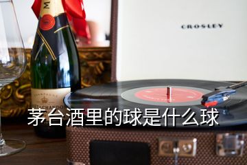 茅臺(tái)酒里的球是什么球