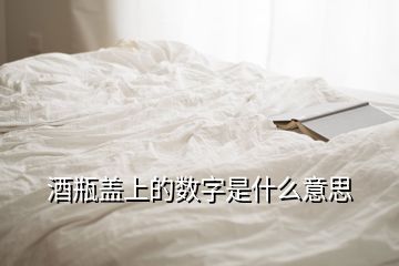 酒瓶蓋上的數(shù)字是什么意思