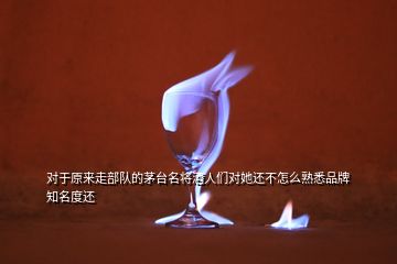 對(duì)于原來走部隊(duì)的茅臺(tái)名將酒人們對(duì)她還不怎么熟悉品牌知名度還