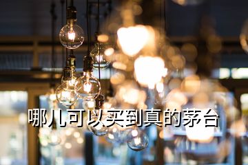 哪兒可以買(mǎi)到真的茅臺(tái)