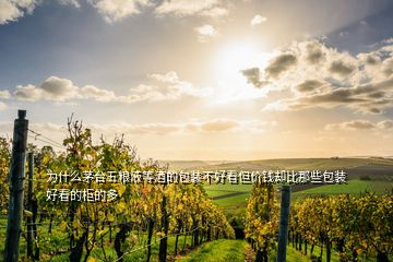 為什么茅臺(tái)五糧液等酒的包裝不好看但價(jià)錢卻比那些包裝好看的柜的多