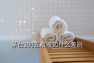 茅臺(tái)300五糧液30什么差別