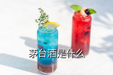 茅臺酒是什么