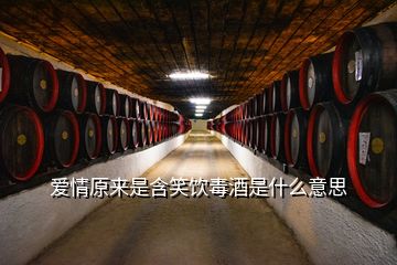 愛(ài)情原來(lái)是含笑飲毒酒是什么意思