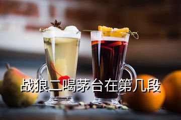 戰(zhàn)狼二喝茅臺在第幾段