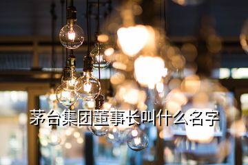 茅臺集團董事長叫什么名字