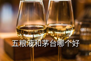 五糧液和茅臺(tái)哪個(gè)好