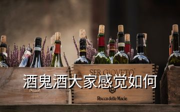 酒鬼酒大家感覺如何