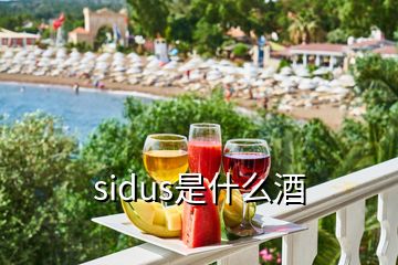 sidus是什么酒