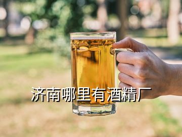 濟(jì)南哪里有酒精廠