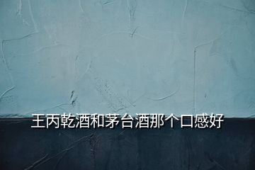 王丙乾酒和茅臺酒那個口感好