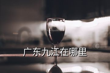 廣東九江在哪里