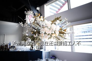 瀘州黃艤酒廠現(xiàn)在還需要招工人不