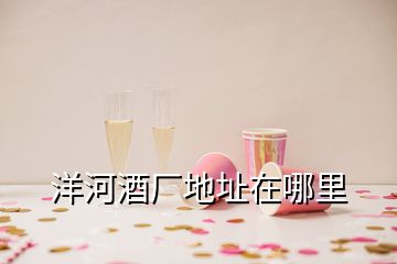 洋河酒廠地址在哪里