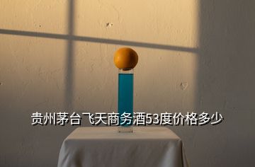 貴州茅臺飛天商務酒53度價格多少