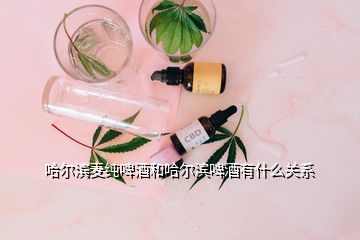 哈爾濱麥純啤酒和哈爾濱啤酒有什么關(guān)系