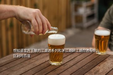 想知道宜賓玉釀的江湖酒系列和茅江湖醉江湖白酒有什么區(qū)別嗎百度