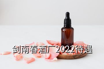 劍南春酒廠2022待遇