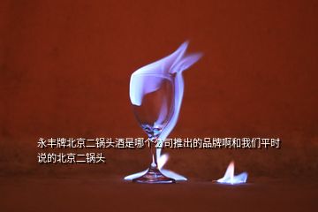 永豐牌北京二鍋頭酒是哪個公司推出的品牌啊和我們平時說的北京二鍋頭