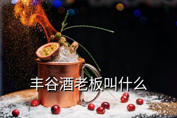 豐谷酒老板叫什么