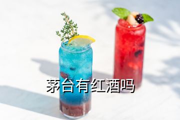 茅臺有紅酒嗎