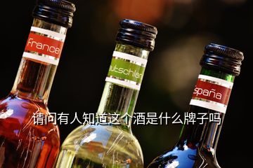 請問有人知道這個酒是什么牌子嗎