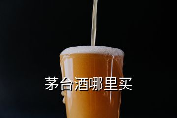 茅臺(tái)酒哪里買(mǎi)