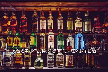 茅臺(tái)酒中那個(gè)品種比較好喝怎么這么多茅臺(tái)酒