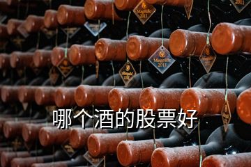 哪個(gè)酒的股票好