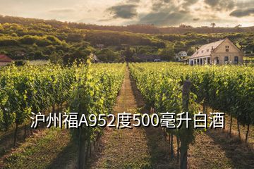 滬州福A952度500毫升白酒