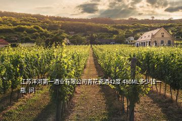 江蘇洋河第一酒業(yè)有限公司青花瓷酒42度 480ML多少錢一瓶  問(wèn)