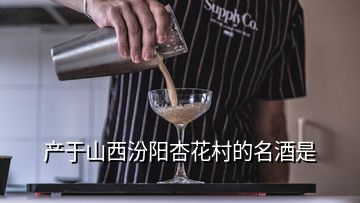 產(chǎn)于山西汾陽杏花村的名酒是