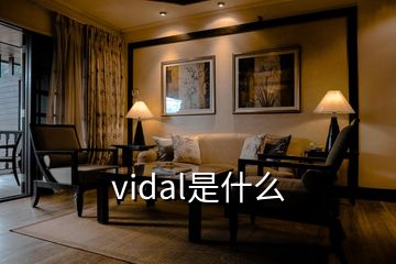 vidal是什么