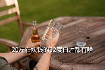 20左右塊錢的52度白酒都有啥