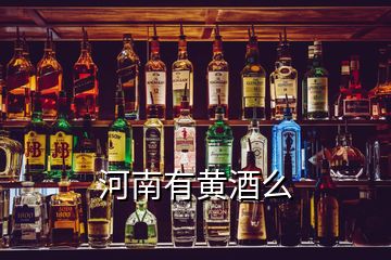 河南有黃酒么