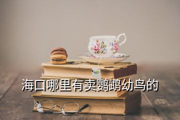 海口哪里有賣鸚鵡幼鳥(niǎo)的