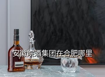 安徽皖酒集團(tuán)在合肥哪里