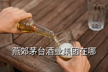 燕郊茅臺(tái)酒業(yè)集團(tuán)在哪