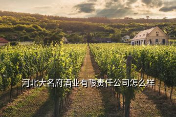 河北大名府酒業(yè)有限責(zé)任公司怎么樣