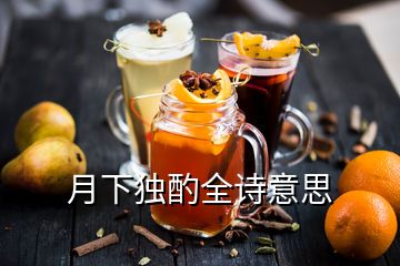 月下獨(dú)酌全詩意思