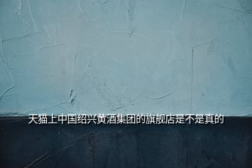 天貓上中國紹興黃酒集團的旗艦店是不是真的