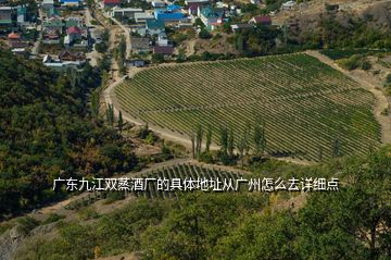 廣東九江雙蒸酒廠的具體地址從廣州怎么去詳細(xì)點