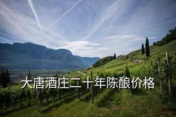 大唐酒莊二十年陳釀價格